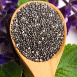 Macro Detail of Chia Seeds